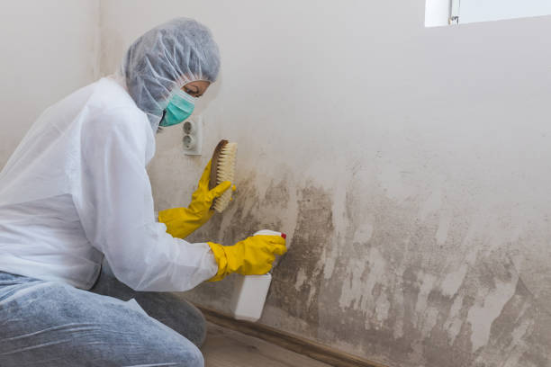 Best Crawl Space Mold Removal  in Eden, TX