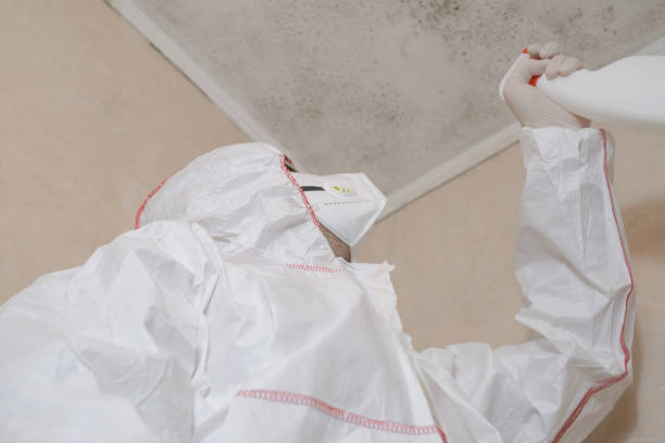 Crawl Space Mold Removal in Eden, TX